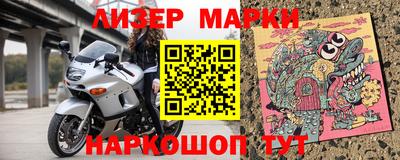 индика Гатчина