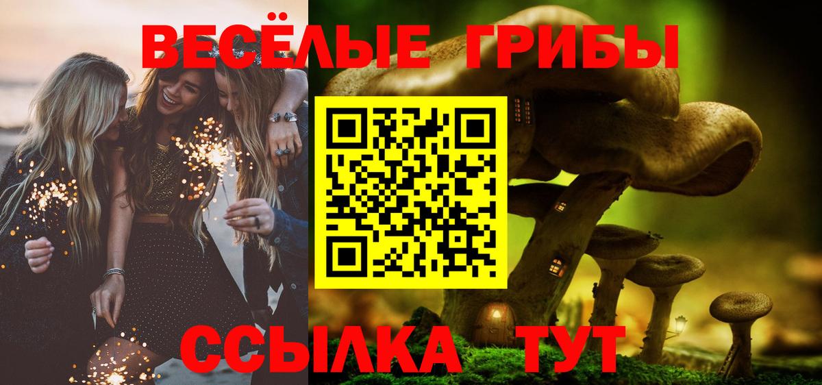 Вышний Волочёк  Галлюциногенные грибы мицелий  Галлюциногенные грибы Cubensis  Вход с VPN 